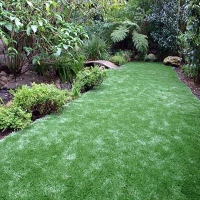 Synthetic Grass Chilili, New Mexico Landscape Ideas, Backyard