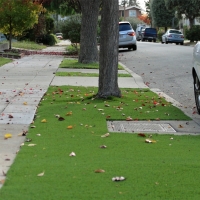 Synthetic Grass Cost Pinos Altos, New Mexico Rooftop, Front Yard Landscape Ideas