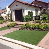 Synthetic Lawn La Mesilla, New Mexico Gardeners, Front Yard Ideas