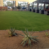 Synthetic Turf Agua Fria, New Mexico Lawn And Garden, Commercial Landscape