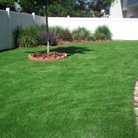 Synthetic Turf Cedar Grove, New Mexico Home And Garden, Backyard Ideas