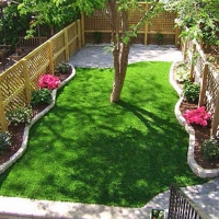 Synthetic Turf Jemez Pueblo, New Mexico Garden Ideas, Small Backyard Ideas