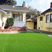 Synthetic Turf Supplier Kingston, New Mexico Landscape Design, Small Front Yard Landscaping