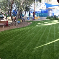 Turf Grass Golden, New Mexico Landscaping Business, Commercial Landscape