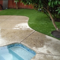 Turf Grass Jacona, New Mexico Paver Patio, Backyard Garden Ideas