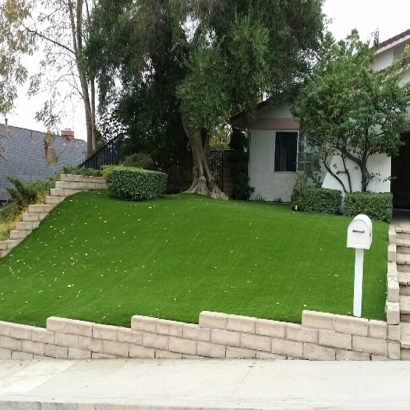 Plastic Grass McIntosh, New Mexico Landscape Photos, Front Yard