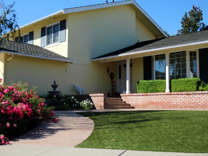 Artificial Grass Carpet Jemez Springs, New Mexico Landscape Design, Front Yard Landscaping Ideas