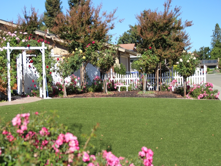 Artificial Grass Carpet Picuris Pueblo, New Mexico Landscape Design, Front Yard Design