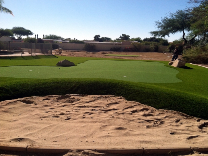 Artificial Grass Carpet Pueblito, New Mexico Gardeners, Backyard Garden Ideas