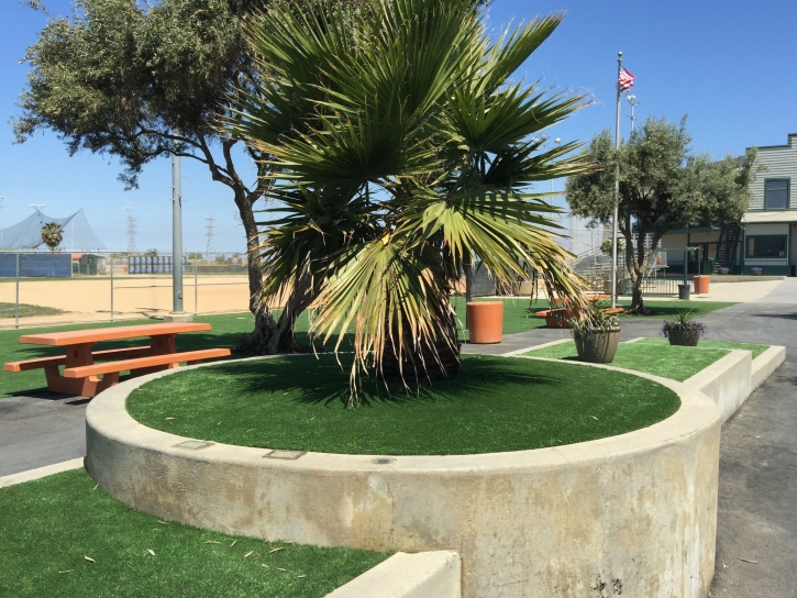 Artificial Grass Carpet Rio Chiquito, New Mexico, Commercial Landscape