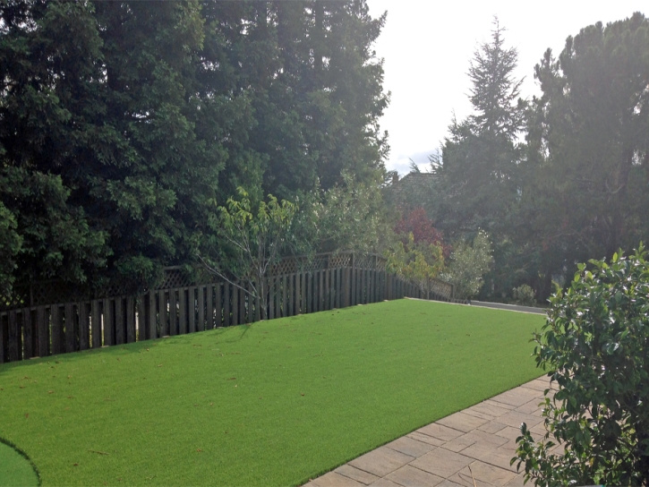 Artificial Grass Chamizal, New Mexico City Landscape, Backyard Design