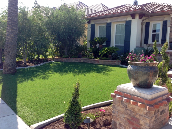 Artificial Lawn La Jara, New Mexico City Landscape, Landscaping Ideas For Front Yard