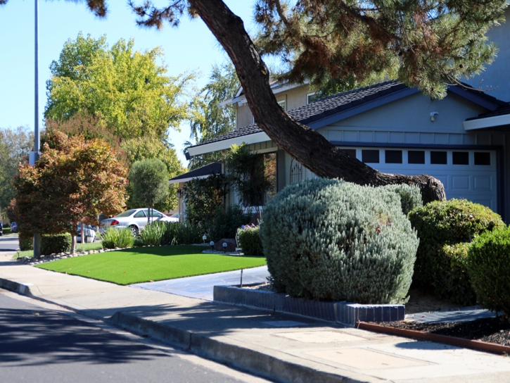 Artificial Lawn Mountainair, New Mexico City Landscape, Front Yard Landscape Ideas