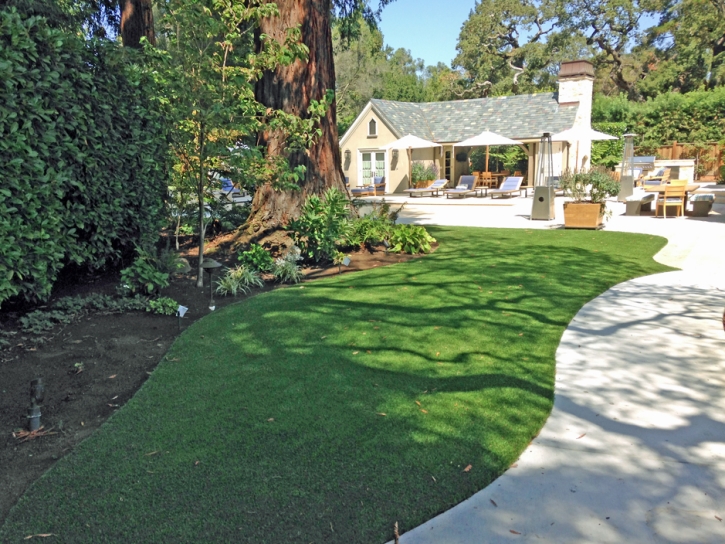 Fake Turf Rio Lucio, New Mexico Home And Garden, Commercial Landscape