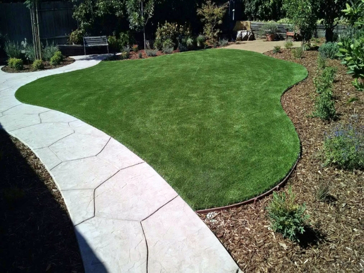 Faux Grass Cedar Hill, New Mexico Garden Ideas, Front Yard Landscaping Ideas