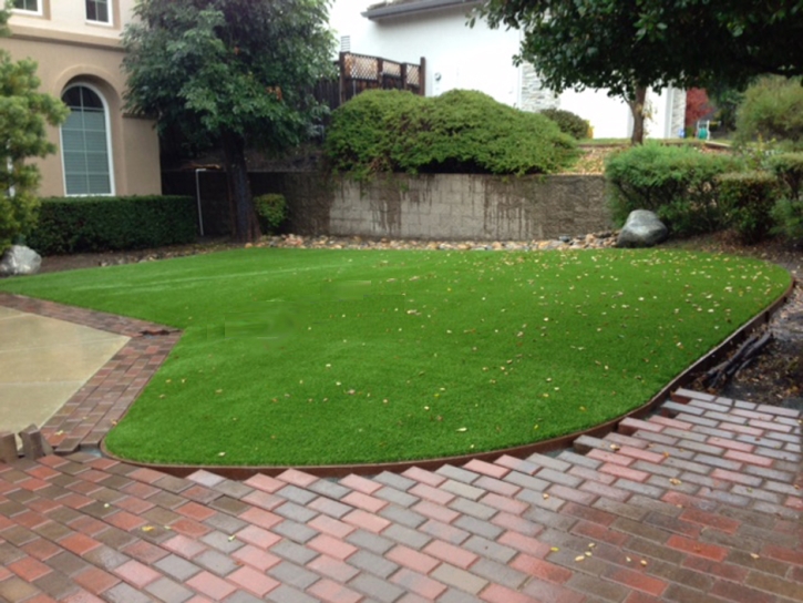 Grass Carpet Cedar Hill, New Mexico Paver Patio, Front Yard