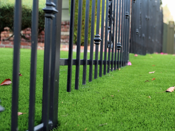 Grass Carpet Manzano Springs, New Mexico Landscape Ideas, Small Front Yard Landscaping