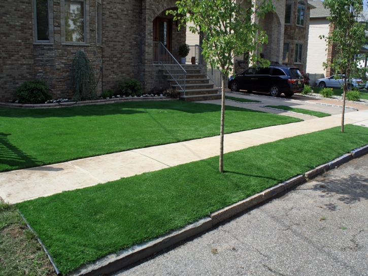 Outdoor Carpet Elephant Butte, New Mexico Lawn And Garden, Small Front Yard Landscaping