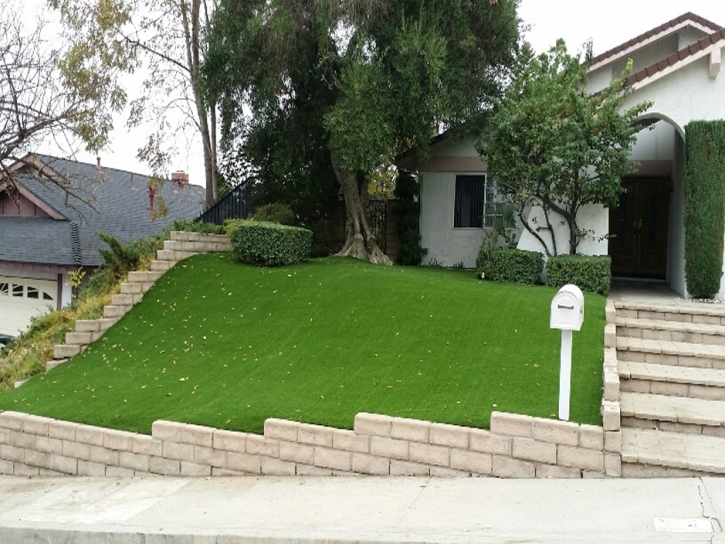 Plastic Grass McIntosh, New Mexico Landscape Photos, Front Yard