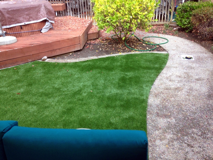 Synthetic Lawn Hatch, New Mexico Backyard Deck Ideas, Backyards