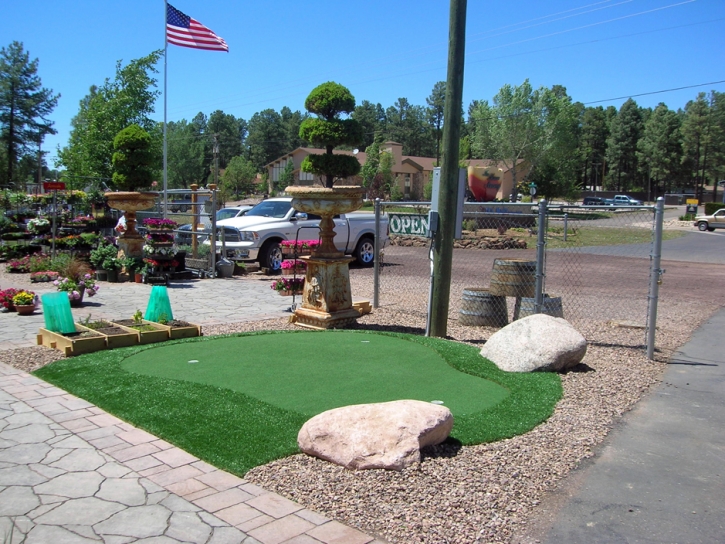 Synthetic Turf Supplier Winston, New Mexico Diy Putting Green, Commercial Landscape